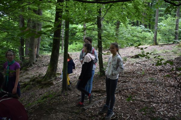 Kattints ide a teljes kép megtekintéséhez