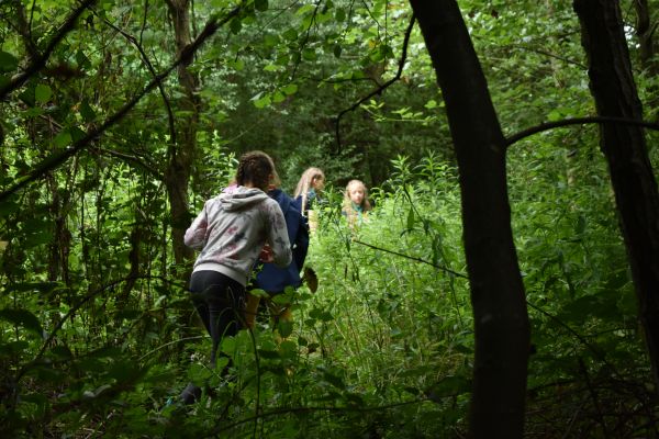 Kattints ide a teljes kép megtekintéséhez