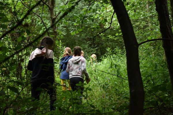 Kattints ide a teljes kép megtekintéséhez