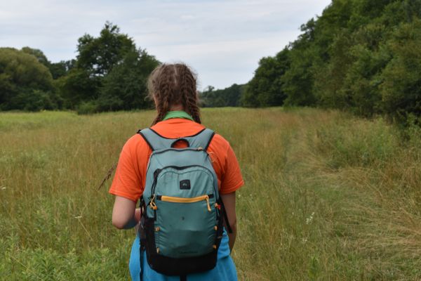 Kattints ide a teljes kép megtekintéséhez