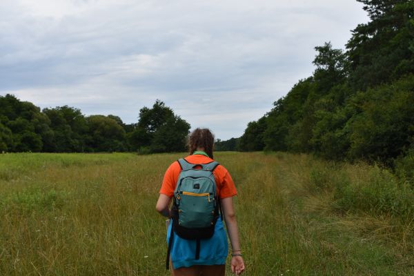 Kattints ide a teljes kép megtekintéséhez