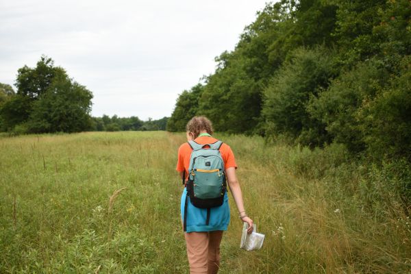Kattints ide a teljes kép megtekintéséhez