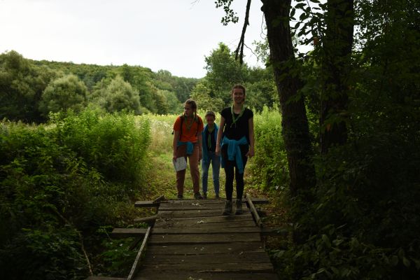 Kattints ide a teljes kép megtekintéséhez