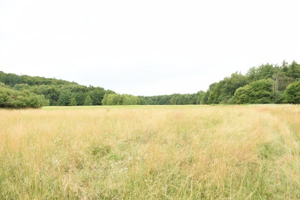 Kattints ide a teljes kép megtekintéséhez