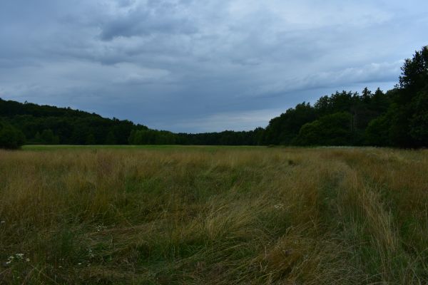 Kattints ide a teljes kép megtekintéséhez