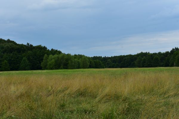 Kattints ide a teljes kép megtekintéséhez