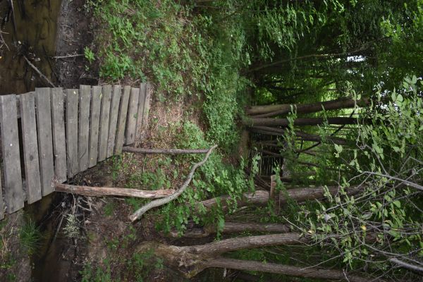 Kattints ide a teljes kép megtekintéséhez