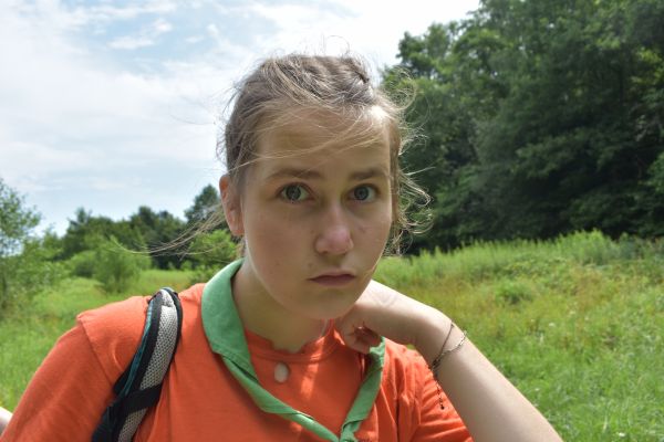 Kattints ide a teljes kép megtekintéséhez