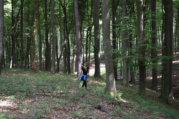 Kattints ide a teljes kép megtekintéséhez