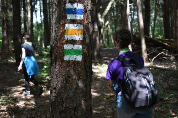Kattints ide a teljes kép megtekintéséhez