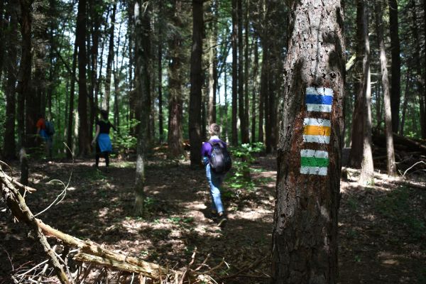 Kattints ide a teljes kép megtekintéséhez