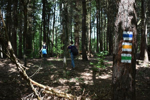 Kattints ide a teljes kép megtekintéséhez