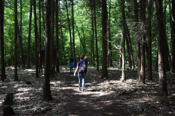 Kattints ide a teljes kép megtekintéséhez