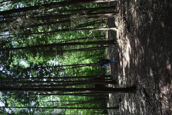 Kattints ide a teljes kép megtekintéséhez