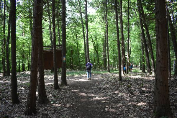 Kattints ide a teljes kép megtekintéséhez