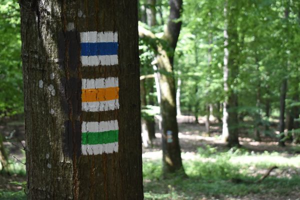 Kattints ide a teljes kép megtekintéséhez