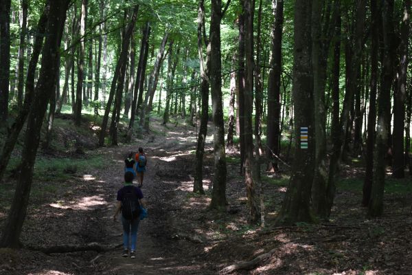 Kattints ide a teljes kép megtekintéséhez