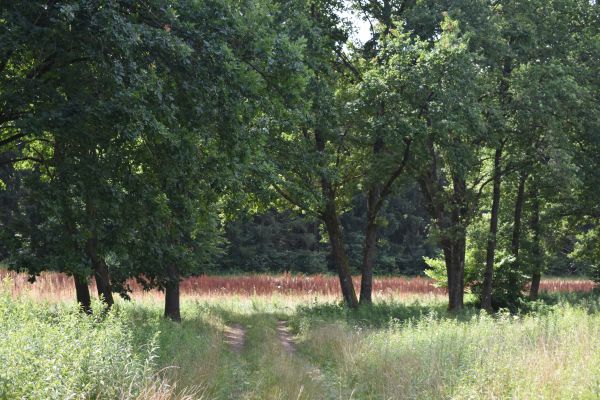 Kattints ide a teljes kép megtekintéséhez