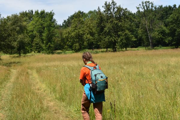 Kattints ide a teljes kép megtekintéséhez
