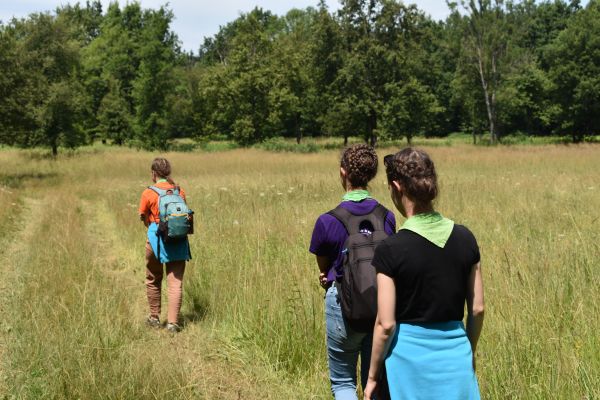 Kattints ide a teljes kép megtekintéséhez