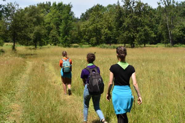 Kattints ide a teljes kép megtekintéséhez