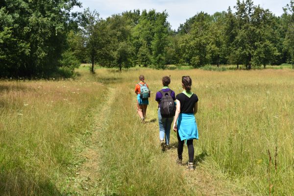 Kattints ide a teljes kép megtekintéséhez