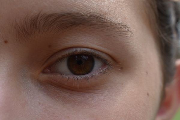 Kattints ide a teljes kép megtekintéséhez