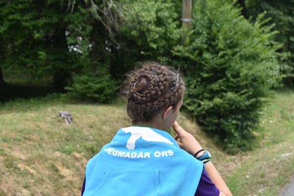 Kattints ide a teljes kép megtekintéséhez