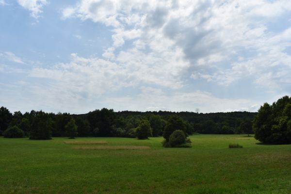 Kattints ide a teljes kép megtekintéséhez