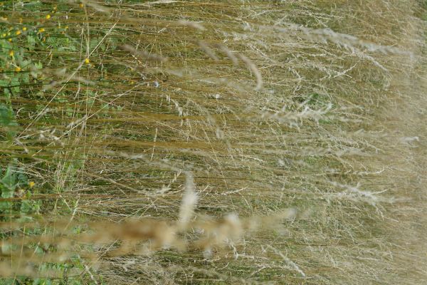 Kattints ide a teljes kép megtekintéséhez