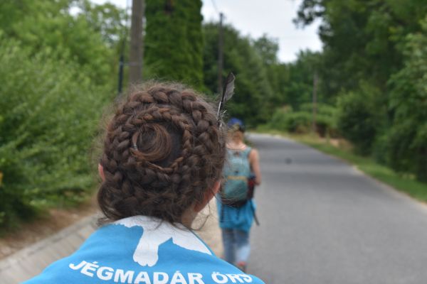 Kattints ide a teljes kép megtekintéséhez