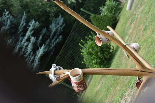 Kattints ide a teljes kép megtekintéséhez