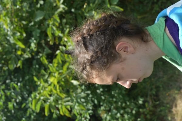 Kattints ide a teljes kép megtekintéséhez