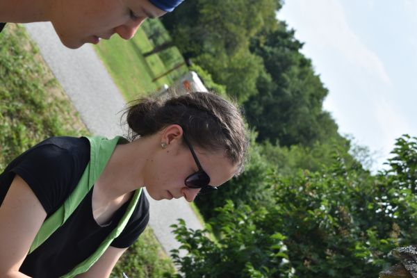 Kattints ide a teljes kép megtekintéséhez