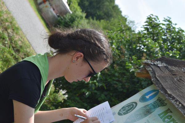 Kattints ide a teljes kép megtekintéséhez