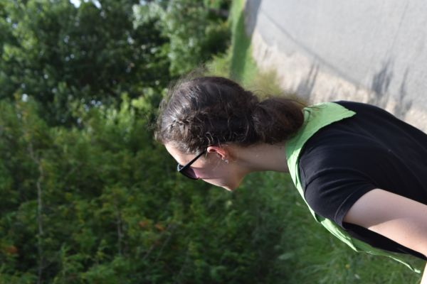 Kattints ide a teljes kép megtekintéséhez