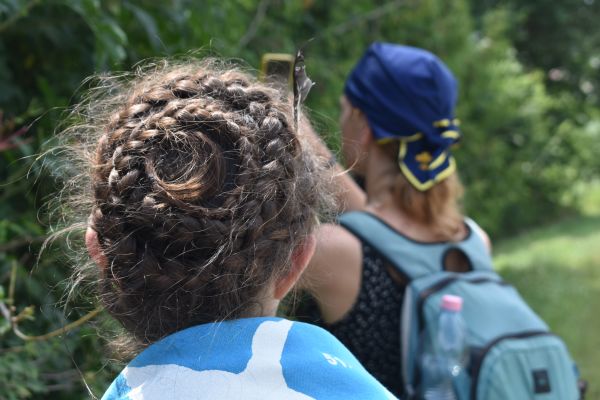 Kattints ide a teljes kép megtekintéséhez