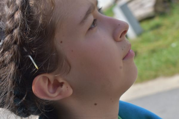 Kattints ide a teljes kép megtekintéséhez