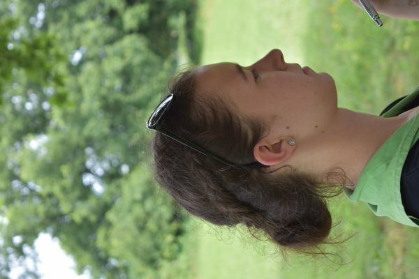 Kattints ide a teljes kép megtekintéséhez