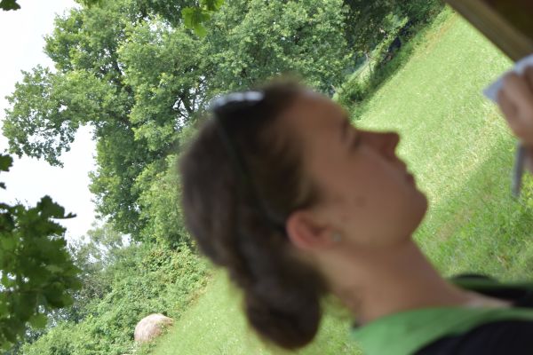 Kattints ide a teljes kép megtekintéséhez