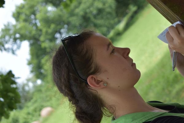 Kattints ide a teljes kép megtekintéséhez