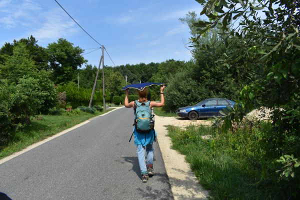 Kattints ide a teljes kép megtekintéséhez
