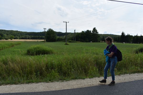 Kattints ide a teljes kép megtekintéséhez