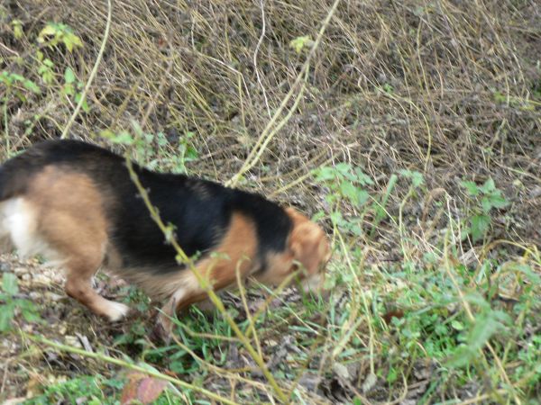 Kattints ide a teljes kép megtekintéséhez