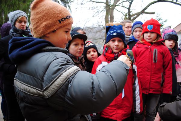 Kattints ide a teljes kép megtekintéséhez