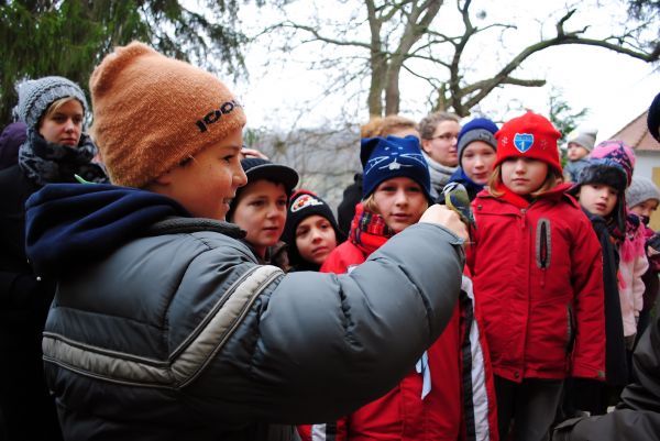 Kattints ide a teljes kép megtekintéséhez