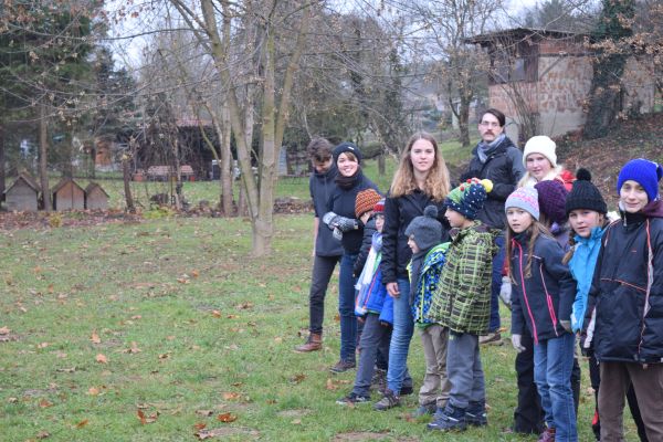 Kattints ide a teljes kép megtekintéséhez