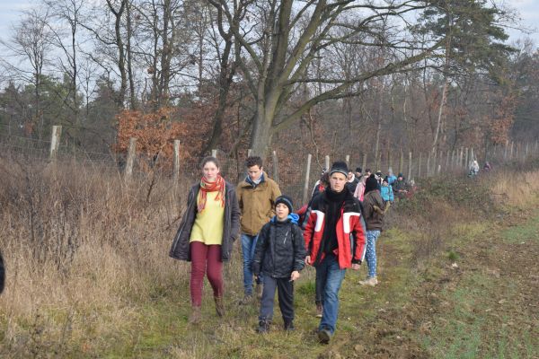 Kattints ide a teljes kép megtekintéséhez