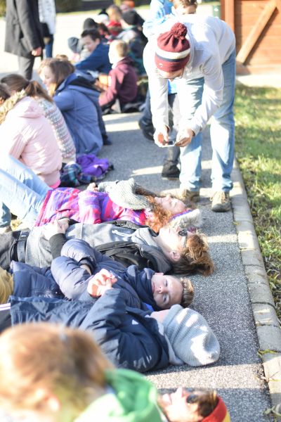 Kattints ide a teljes kép megtekintéséhez