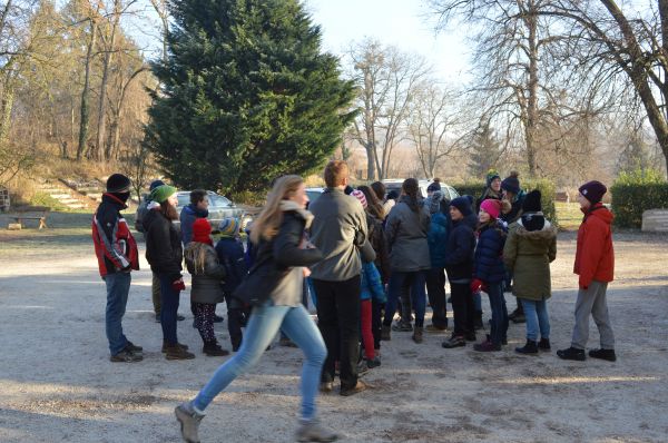 Kattints ide a teljes kép megtekintéséhez